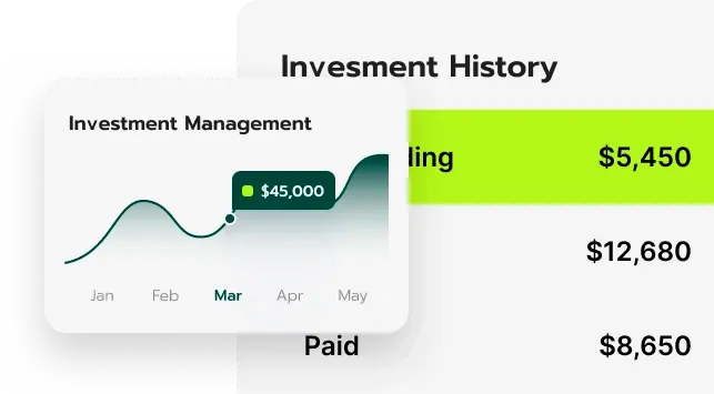 Lidový kapitál finanční analýza